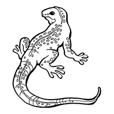 Iguana Coloring Page - Blue Iguana