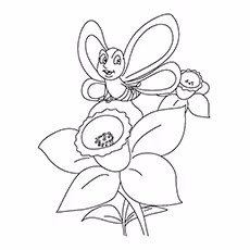 Butterfly And Daffodil Butterfly And Daffodil