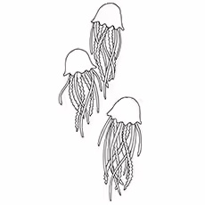Cassiopeia Jellyfish Coloring Page of Cassiopeia Jellyfish