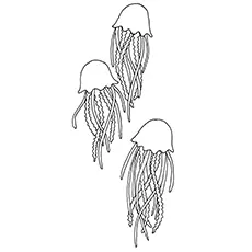 Coloring Page of Cassiopeia Jellyfish 