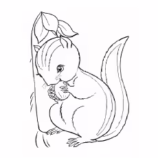 Chipmunk Coloring Pages - Chipmunk-Eating-Acorn