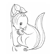 Chipmunk Coloring Pages - Chipmunk-Eating-Acorn