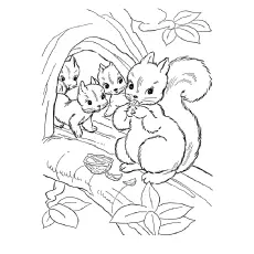 Chipmunk Coloring Pages - Chipmunk-Perched-On-A-Tree