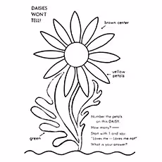 Color By Number Daisy Daisy Coloring Pages - Color By Number Daisy