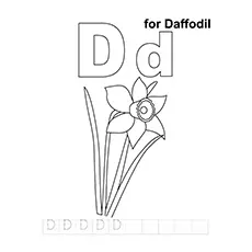 D For Daffodil