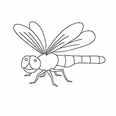 Dragonfly Dragonfly Coloring Pages