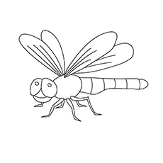 Dragonfly Coloring Pages