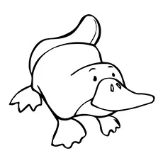 Duckbilled Platypus Coloring Page