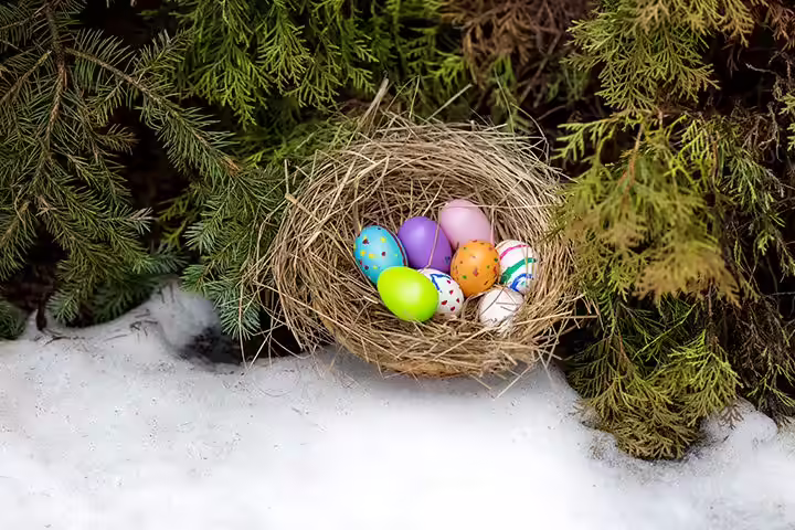 Backyard Games For Kids - Easter Egg Basket Race Backyard Games For Kids - Easter Egg Basket Race