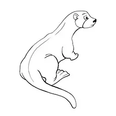 European Otter Coloring Page