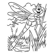 Evinrude Dragonfly Coloring Page 