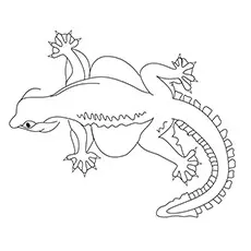 Gecko Coloring Pages - Flying Gecko