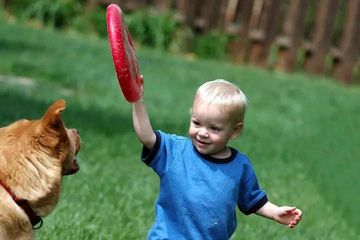 Backyard Games For Kids - Frisbee