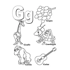 Grasshopper Coloring Page - G For Grasshopper