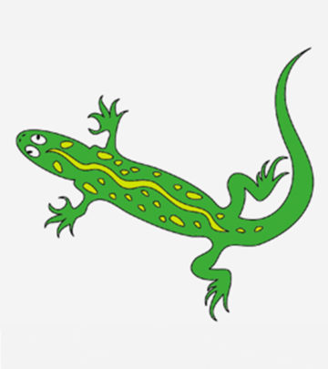 10 Best Gecko Coloring Pages For Toddlers 