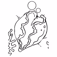 Clam Coloring Page - Giant Clam