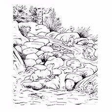 Giant Otter Coloring Page Giant Otter Coloring Page