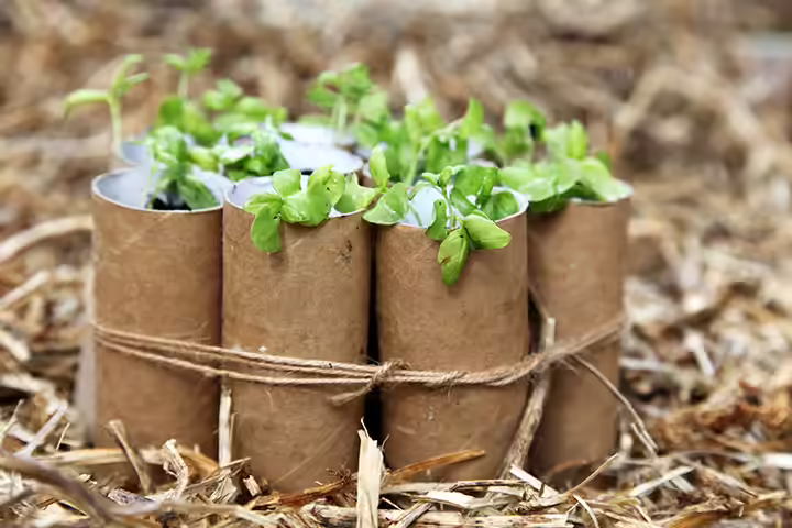 Toilet Paper Roll Crafts - Go Green With Empty Toilet Rolls