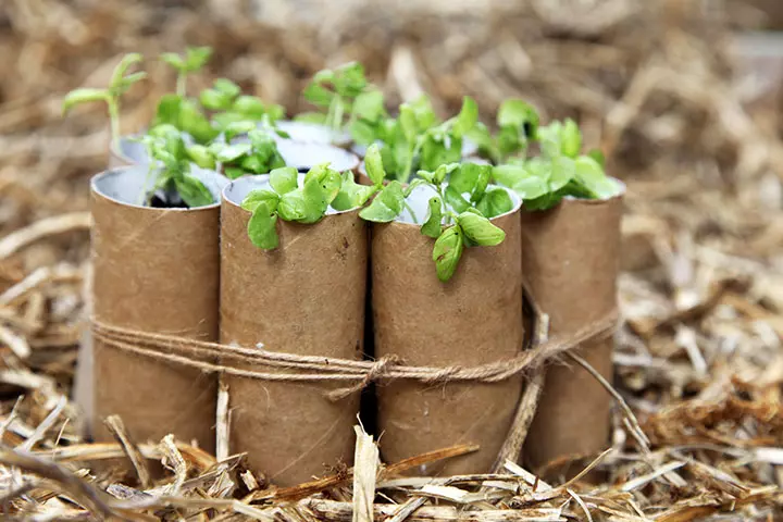 Toilet Paper Roll Crafts - Go Green With Empty Toilet Rolls