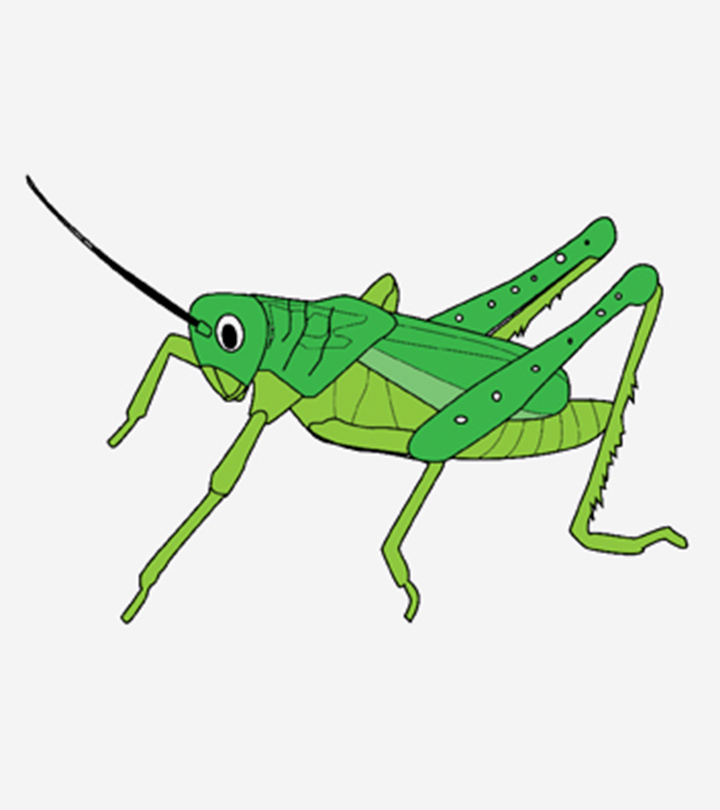 Top 10 Grasshopper Coloring Pages Your Toddler Will Love To Color_image