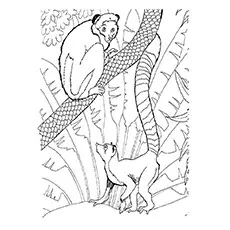 Gray Mouse Lemur Coloring Page 