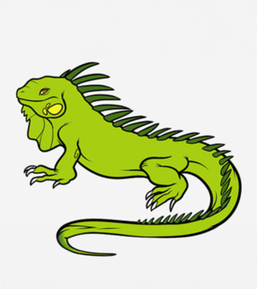 Top 10 Iguana Coloring Pages For Your Little One_image