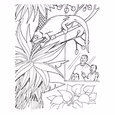 Iguana Coloring Page - Iguana Perched On A Tree Iguana Coloring Page - Iguana Perched On A Tree
