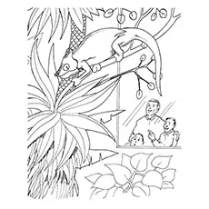 Iguana Coloring Page - Iguana Perched On A Tree