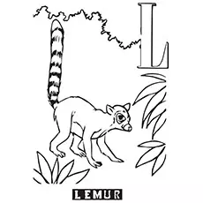 Lemur Coloring Page - L For Lemur