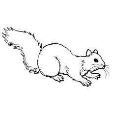 Chipmunk Coloring Pages - Least-Chipmunk