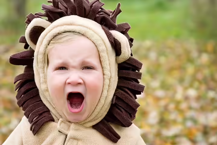 Lion Halloween costume for toddlers Lion Halloween costume for toddlers