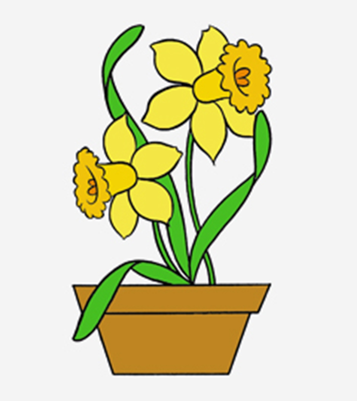 10 Lovely Daffodil Coloring Pages For Your Little One_image