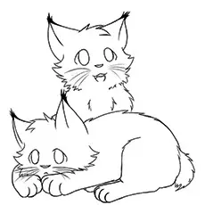 Lynx Coloring Page - Lynx Cub