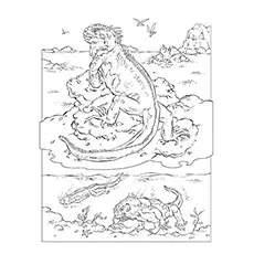 Iguana Coloring Page - Marine Iguana