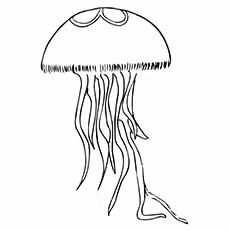 Moon Jellyfish Moon Jellyfish Coloring Page to Print