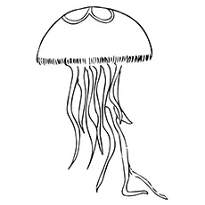 Moon Jellyfish Coloring Page to Print