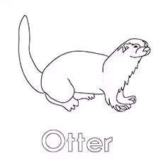 Otter Otter Coloring Images
