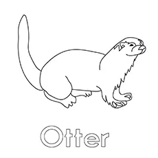 Otter Coloring Images