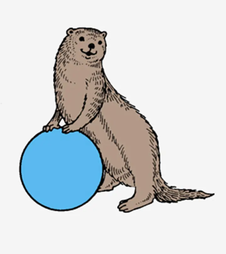 Best Otter Coloring Pages For Toddlers