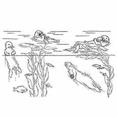 Otter Coloring Page - Otters Hunting Otter Coloring Page - Otters Hunting