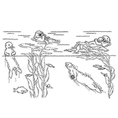 Otter Coloring Page - Otters Hunting