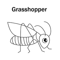 Pasture Grasshopper Coloring Page 