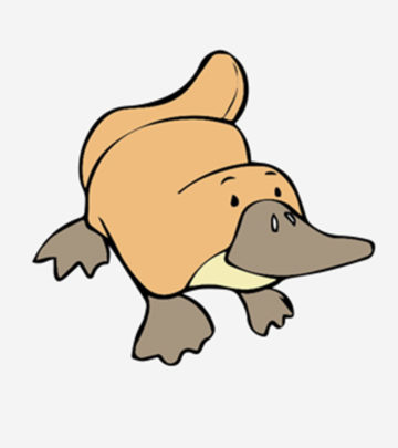 Platypus Coloring Pages For Toddlers