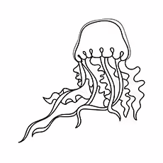 Sea Wasp Box Jellyfish Sea-Wasp-Box-Jellyfish-16