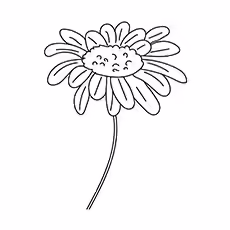 Shasta Daisy Shasta-Daisy-16