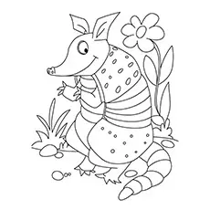 Sly Armadillo Coloring Page