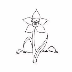 Smiling Daffodil Smiling-Daffodil-16