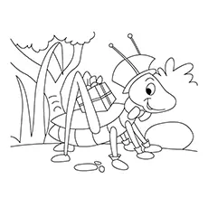 Snakeweed Grasshopper Coloring Page 