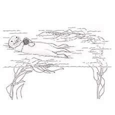 Spotted-Neck Otter Coloring Page Spotted-Neck Otter Coloring Page