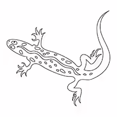 Gecko Coloring Pages - Sticky Gecko